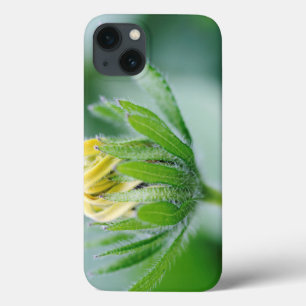 Openende Bloem Van Cone Flower iPhone 13 Hoesje