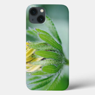 Openende Bloem Van Cone Flower iPhone 13 Hoesje