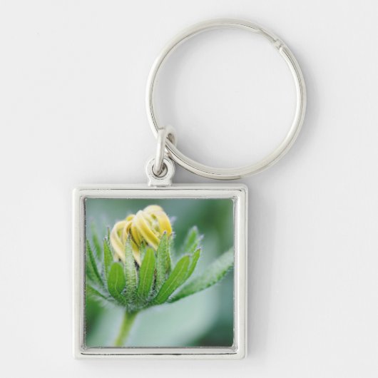 Openende Bloem Van Cone Flower Sleutelhanger (Voorkant)