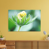 Opening Flower Of Cone Flower Canvas Afdruk (Insitu (Woonkamer))