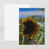 Opening zonnebloem notitiekaartje (Voorkant / Achterkant)