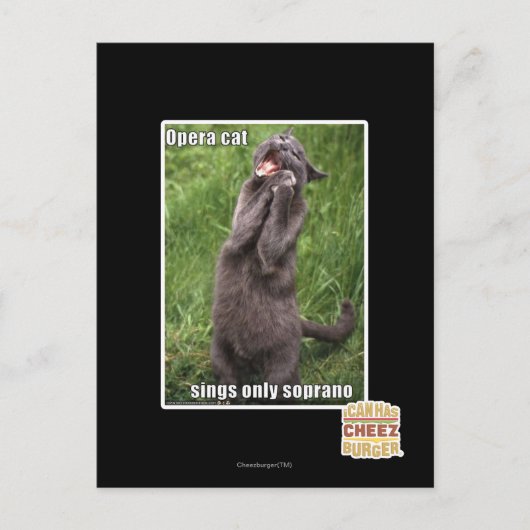 Opera Cat Briefkaart (Voorkant)