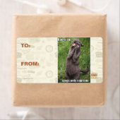 Opera Cat Etiket (Insitu)