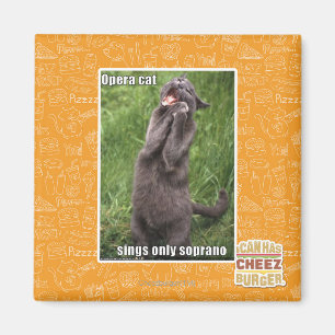 Opera Cat Magneet