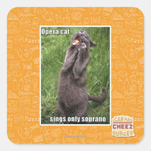Opera Cat Vierkante Sticker
