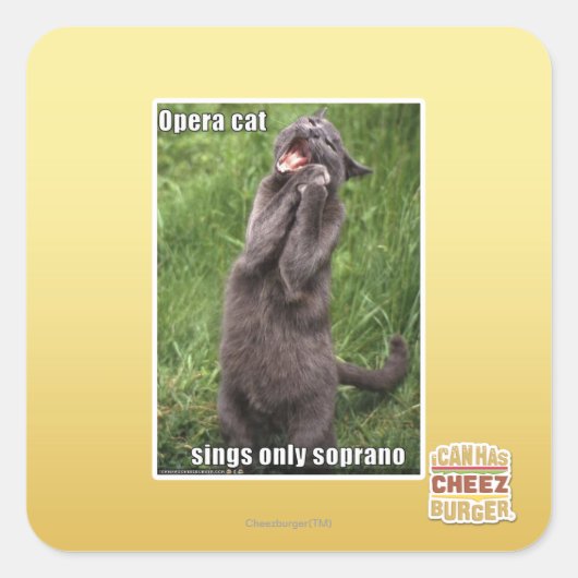 Opera Cat Vierkante Sticker (Voorkant)