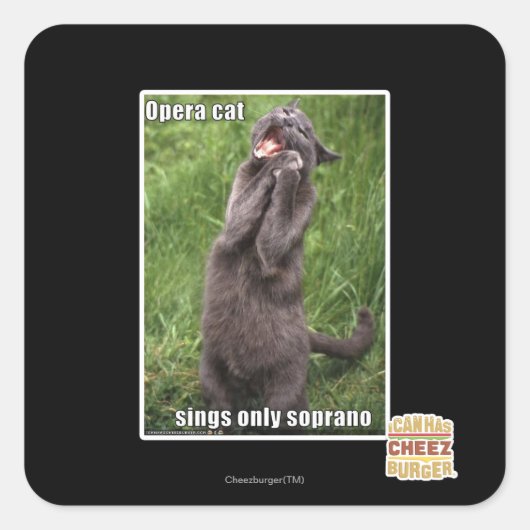 Opera Cat Vierkante Sticker (Voorkant)