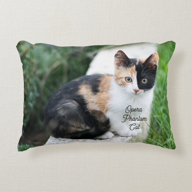 Opéra Coussin d'accenture de chat fantôme (Devant)