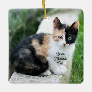 Opera Fantomenkat Keramisch Ornament