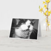 Opera Kat verjaardagskaart Kaart (Gele Bloem)