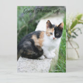 Opera Phantom Cat (Staand voorkant)