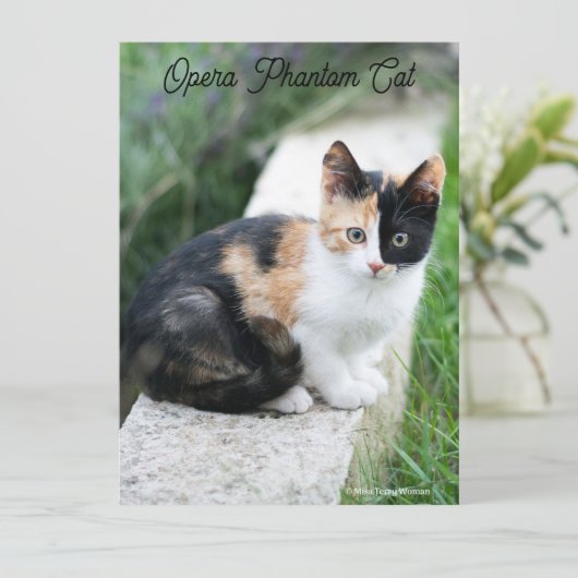 Opera Phantom Cat (Staand voorkant)