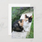 Opera Phantom Cat Bedankkaart (Voorkant / Achterkant)