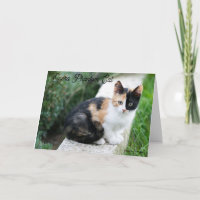 Opera Phantom Cat
