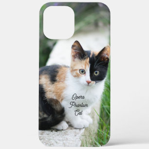 Opera Phantom Cat iPhone 12 Pro Max Hoesje
