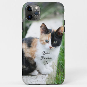 Opera Phantom Cat iPhone 11 Pro Max Hoesje