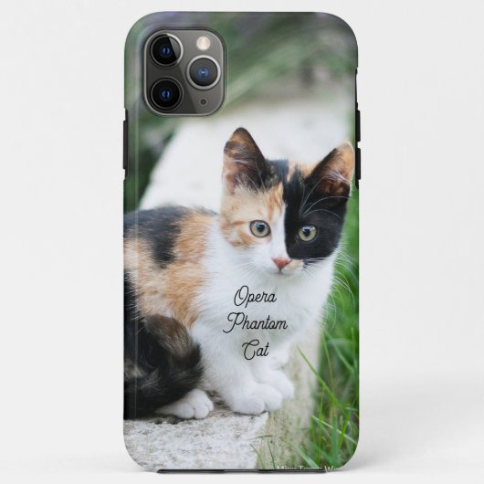 Opera Phantom Cat Case-Mate iPhone Case (Achterkant)