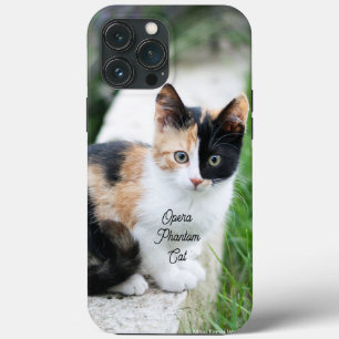 Opera Phantom Cat iPhone 13 Pro Max Hoesje
