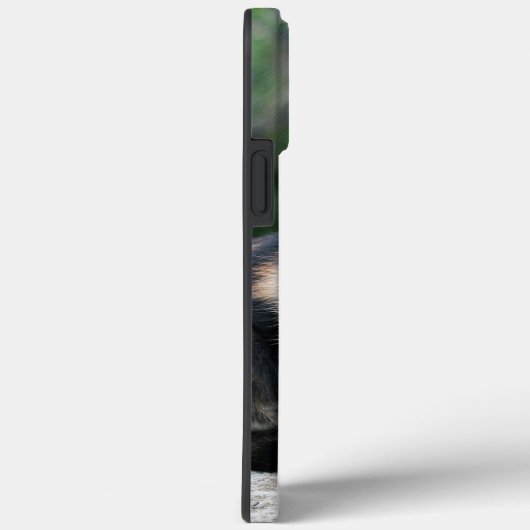 Opera Phantom Cat Case-Mate iPhone Case (Achterkant / Rechts)