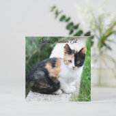 Opera Phantom Cat Feestdagenkaart (Staand voorkant)