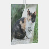 Opera Phantom Cat Glas Ornament (Voorkant Rechts)