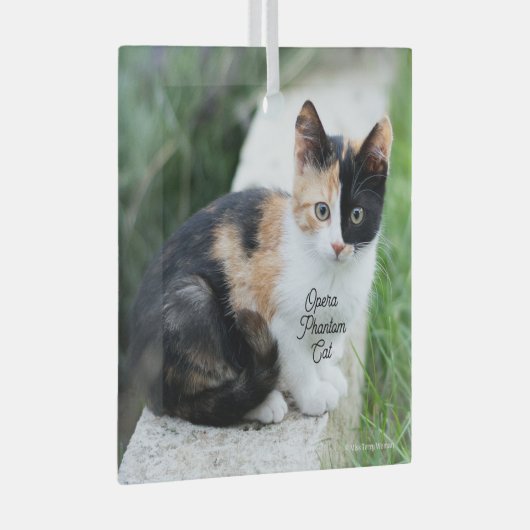 Opera Phantom Cat Glas Ornament (Voorkant Rechts)