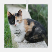 Opera Phantom Cat Glas Ornament (Achterkant)