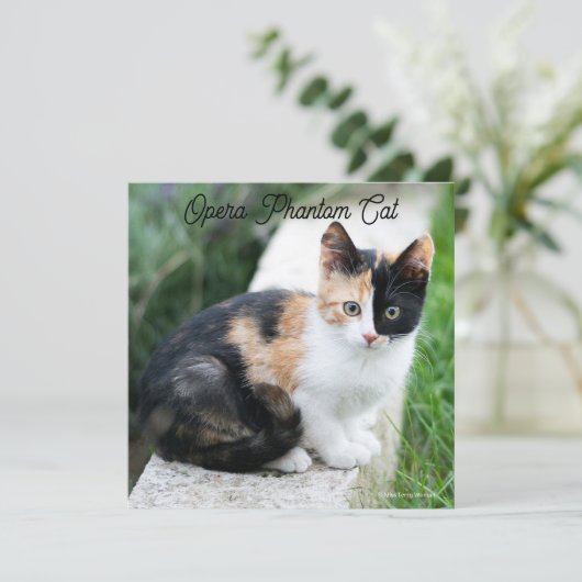 Opera Phantom Cat Kaart (Staand voorkant)