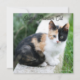 Opera Phantom Cat Kaart