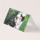 Opera Phantom Cat Kaart (Voorkant)