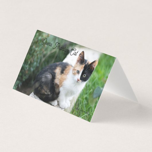Opera Phantom Cat Kaart (Voorkant)