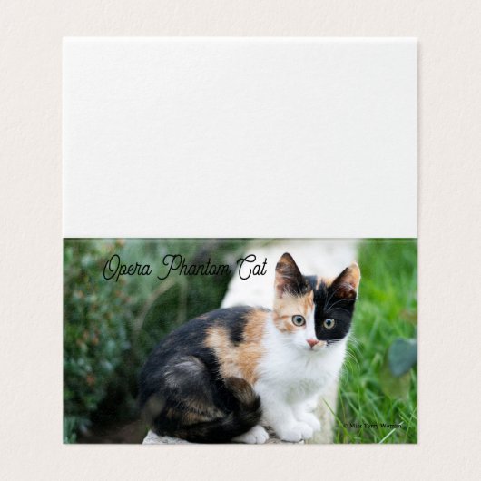 Opera Phantom Cat Kaart (Buitenkant ongevouwen)