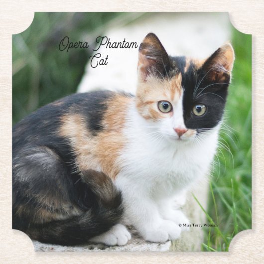 Opera Phantom Cat Kartonnen Onderzetters (Voorkant)