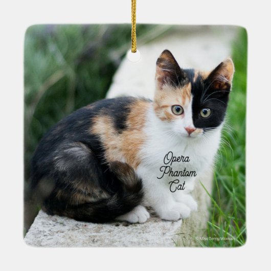 Opera Phantom Cat Keramisch Ornament (Achterkant)