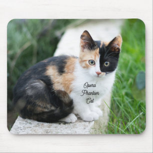 Opera Phantom Cat Muismat
