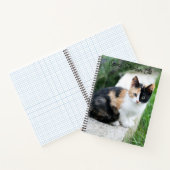 Opera Phantom Cat Notitieboek (Binnen)