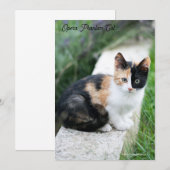 Opera Phantom Cat Save The Date (Voorkant / Achterkant)