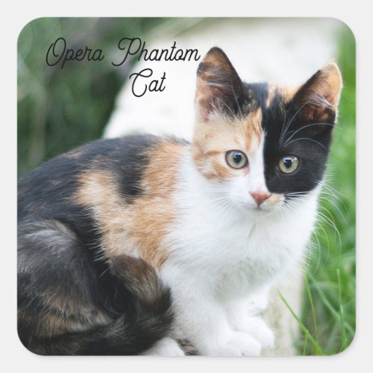 Opera Phantom Cat Vierkante Sticker (Voorkant)