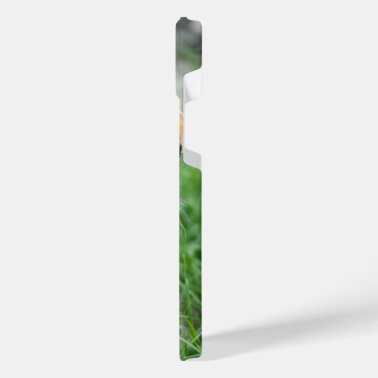 Opera Phantom Chat (Côté gauche)