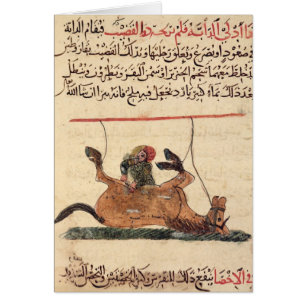 Opération sur un cheval, illustration