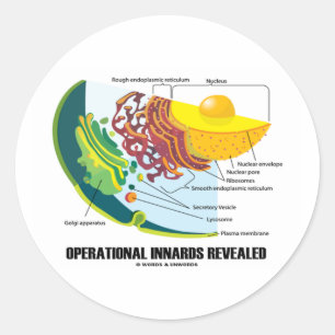 Operationele indicatoren (celbiologie) ronde sticker