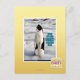 Opgegroeid door pinguïns briefkaart