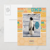 Opgegroeid door pinguïns briefkaart (Voorkant / Achterkant)