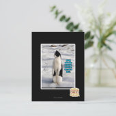 Opgegroeid door pinguïns briefkaart (Staand voorkant)