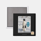 Opgegroeid door pinguïns magneet (Voorkant / Achterkant)