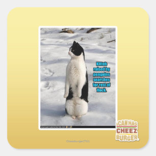 Opgegroeid door pinguïns vierkante sticker