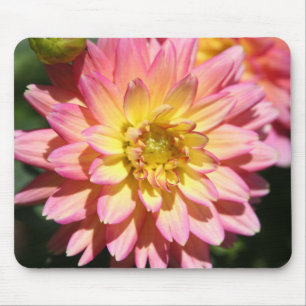 Opgele roze Dahlia Flower Muismat