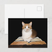 Opgeleide of bibliothecatabat briefkaart (Voorkant / Achterkant)