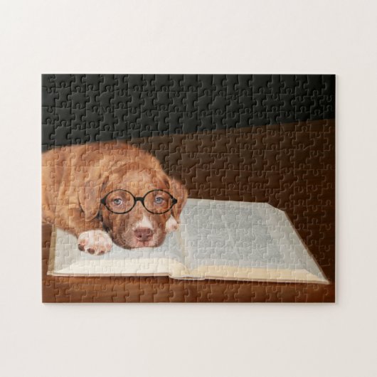 Opgeleide Pitbull Terrier Legpuzzel (Horizontaal)