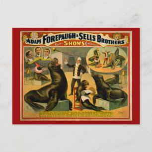 Opgeleide Zeeen Lionen en zegels Circus Poster Briefkaart
